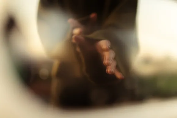 Casino Royal Slots Tugi